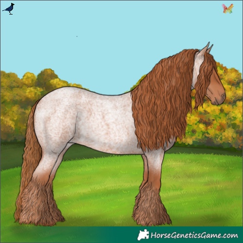 Horse Color:Red Roan 