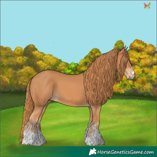Horse Color:Chestnut 