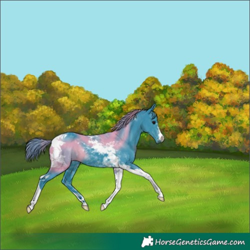 Horse Color:Watercolor Black Tobiano 
