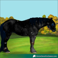 Horse Color:ERROR: UNKNOWN ANOMALY