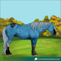 Horse Color:ERROR: UNKNOWN ANOMALY