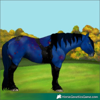 Horse Color:ERROR: UNKNOWN ANOMALY