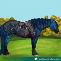 Horse Color:ERROR: UNKNOWN ANOMALY