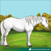 Horse Color:Silver Smoky Black Sabino Tobiano Near Fewspot 