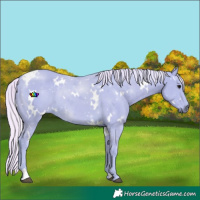 Horse Color:Watercolor White Spotted Silver Smoky Black
