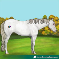 Horse Color:Watercolor White Spotted Smoky Blue Chinchilla Roan Pearl