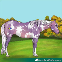 Horse Color:Watercolor White Spotted Silver Buckskin