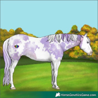 Horse Color:Watercolor White Spotted Perlino Chinchilla Splash