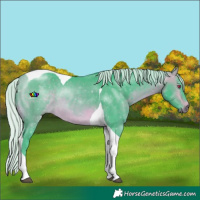 Horse Color:Watercolor Silver Buckskin Chinchilla Tobiano
