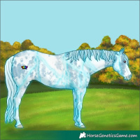 Horse Color:Thunderstruck Watercolor White Spotted Silver Smoky Black Chinchilla Sabino 