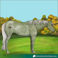 Horse Color:Watercolor Silver Smoky Black Rabicano