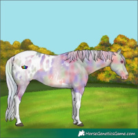 Horse Color:Nacre Watercolor Silver Buckskin Chinchilla Dun Tobiano Appaloosa 