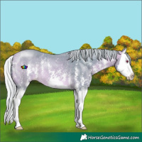 Horse Color:Watercolor Silver Buckskin Chinchilla Sabino Splash 