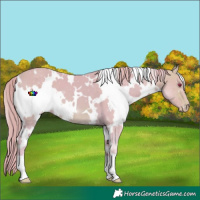 Horse Color:Watercolor White Spotted Perlino Chinchilla