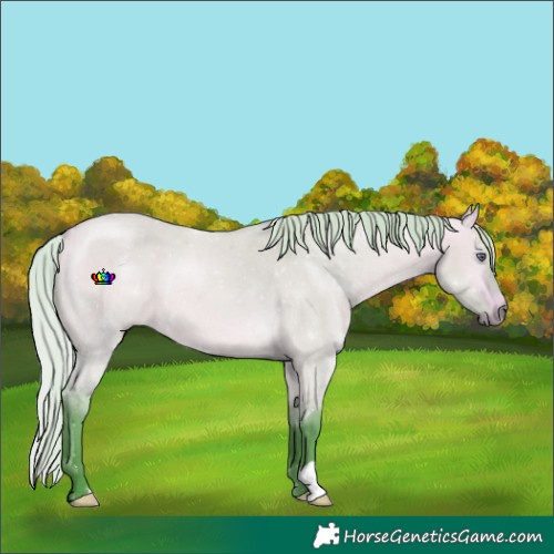Horse Color:Watercolor Silver Buckskin Chinchilla Dun 