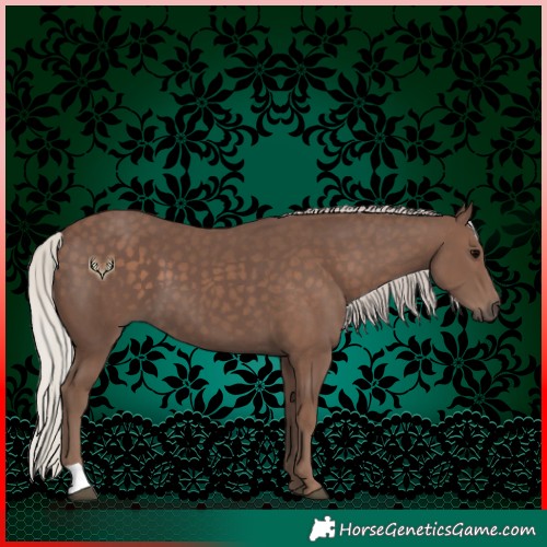 Horse Color:Silver Black 