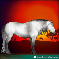 Horse Color:Gray Grullo 