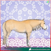 Horse Color:Palomino 