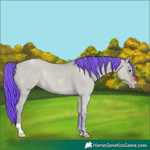Horse Color:Watercolor Classic Cream Champagne Dun 