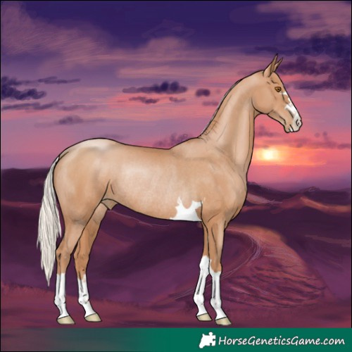 Horse Color:Silver Black Pearl Rabicano 