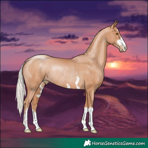 Horse Color:Silver Black Pearl Rabicano 