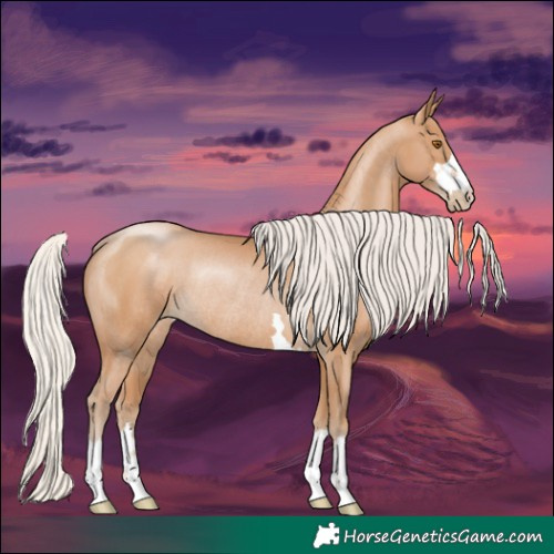 Horse Color:Silver Black Pearl Rabicano 
