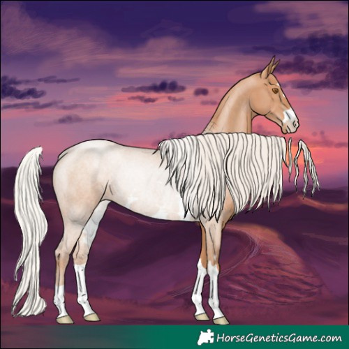 Horse Color:Silver Black Pearl Rabicano 