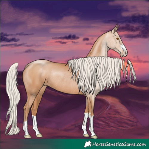 Horse Color:Silver Black Pearl Rabicano 