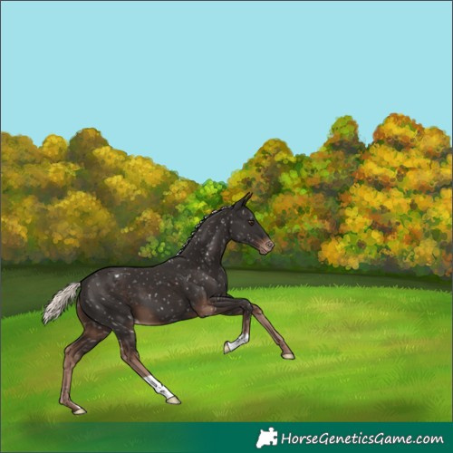 Horse Color:Liver Chestnut Mushroom Snowflake Varnish