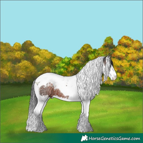 Horse Color:Brown Ice Splash Tobiano 