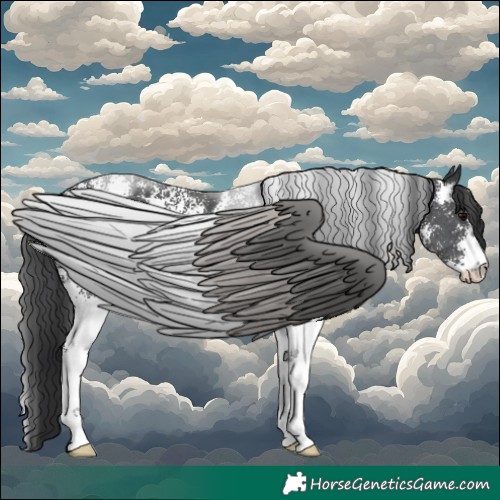 Horse Color:Black Sabino