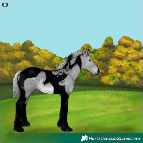 Horse Color:Void Silver Grullo Chinchilla Tobiano Brindle 