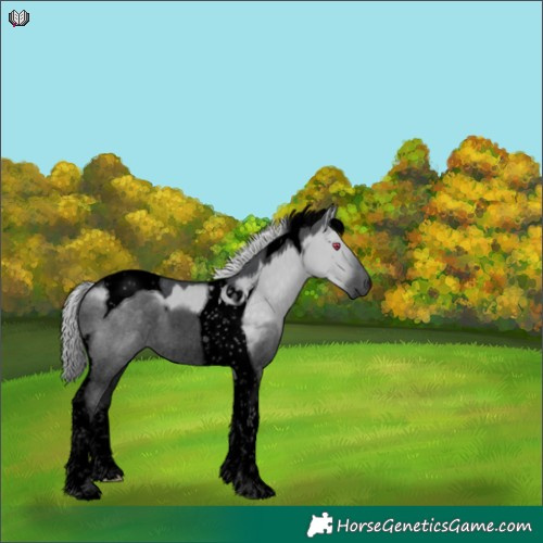 Horse Color:Void Silver Grullo Chinchilla Tobiano 