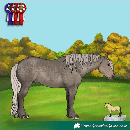 Horse Color:Silver Smoky Grullo 