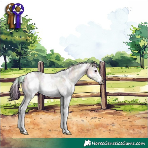 Horse Color:Gray Nacre White Spotted Bay Onyx Sabino Rabicano 