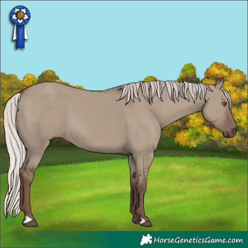 Horse Color:Silver Grullo 