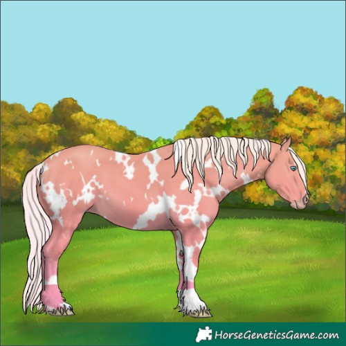 Horse Color:White Spotted Silver Perlino 