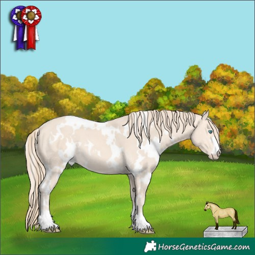 Horse Color:White Spotted Perlino 