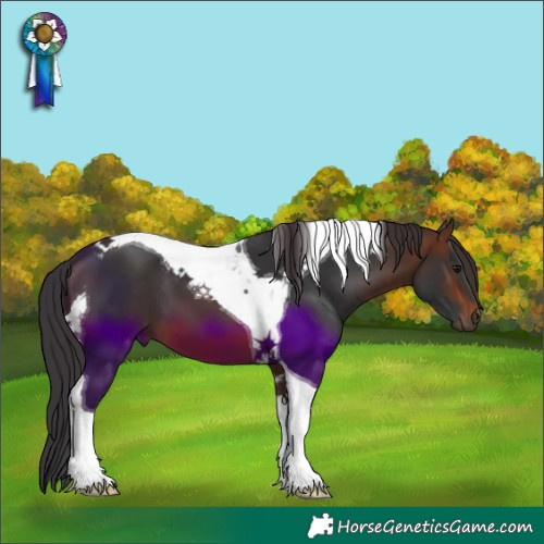 Horse Color:Brown Tobiano 