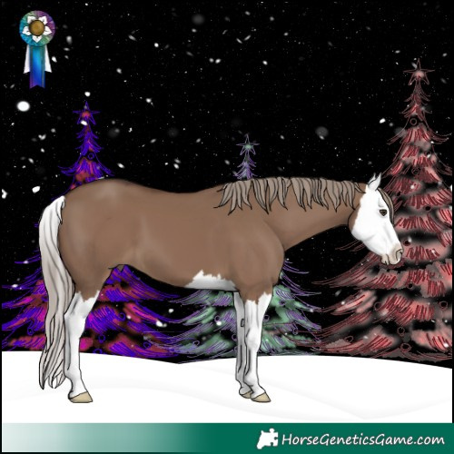 Horse Color:Liver Red Dun Splash 