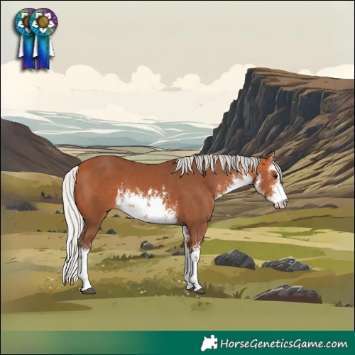 Horse Color:White Spotted Silver Bay 