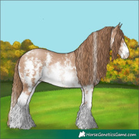 Horse Color:Black Pearl Sabino 