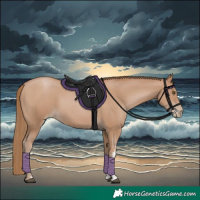 Horse Color:Black Pearl Sabino 