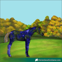 Horse Color:ERROR: UNKNOWN ANOMALY