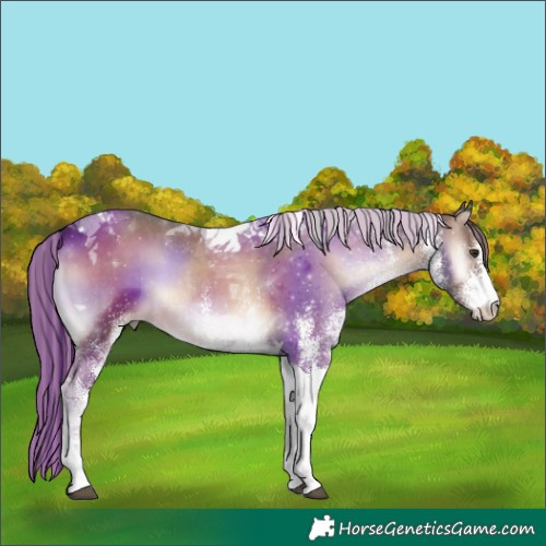 Horse Color:Painted White Spotted Liver Red Onyx Tobiano 