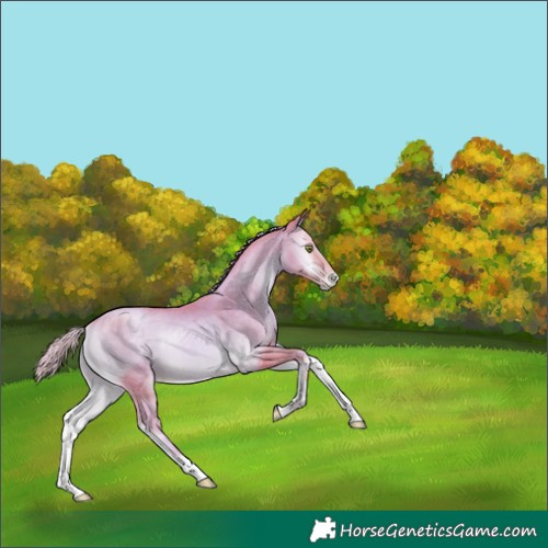Horse Color:Watercolor Silver Smoky Blue Onyx Pearl