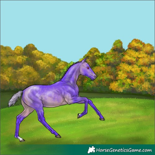 Horse Color:Watercolor Silver Buckskin Chinchilla