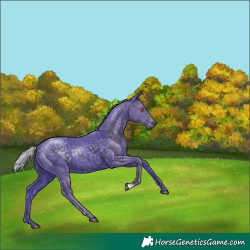 Horse Color:Watercolor Silver Black Chinchilla 