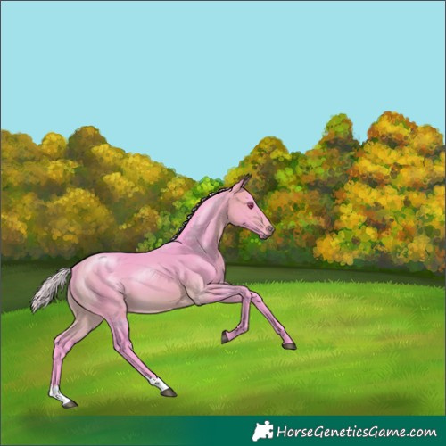 Horse Color:Watercolor Silver Buckskin Chinchilla 