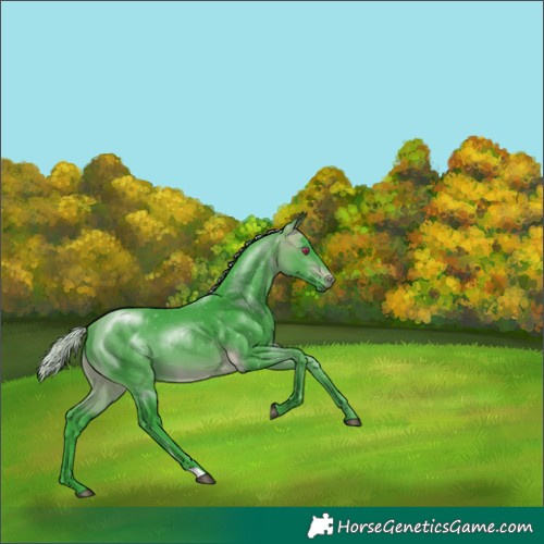 Horse Color:Watercolor Silver Buckskin Chinchilla Rabicano